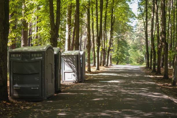 Best Local porta potty services  in Taylorvle, IL