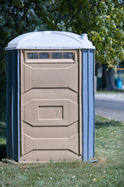 Best Sanitation services for porta potties  in Taylorvle, IL